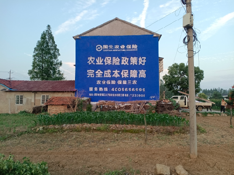 长沙墙体广告为何受追捧？